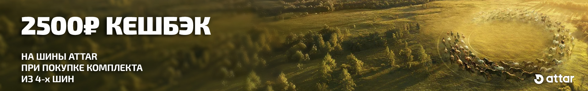 шины 
 Аттар
