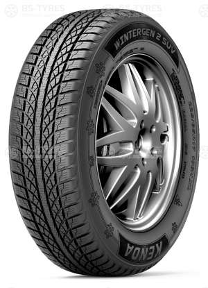 Wintergen 2 SUV KR504